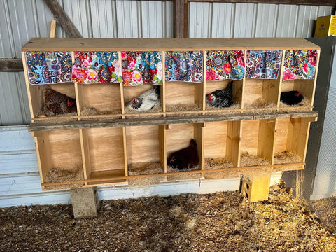 Chicken Nesting Pads for Chicken Coop Accessories - 12 Pack - USA Aspen - Professional Grade Excelsior Bedding - Easy Clean Up - Absorbs Moisture 100% Natural, Liners for Laying Hens - Fits 12x12 Box