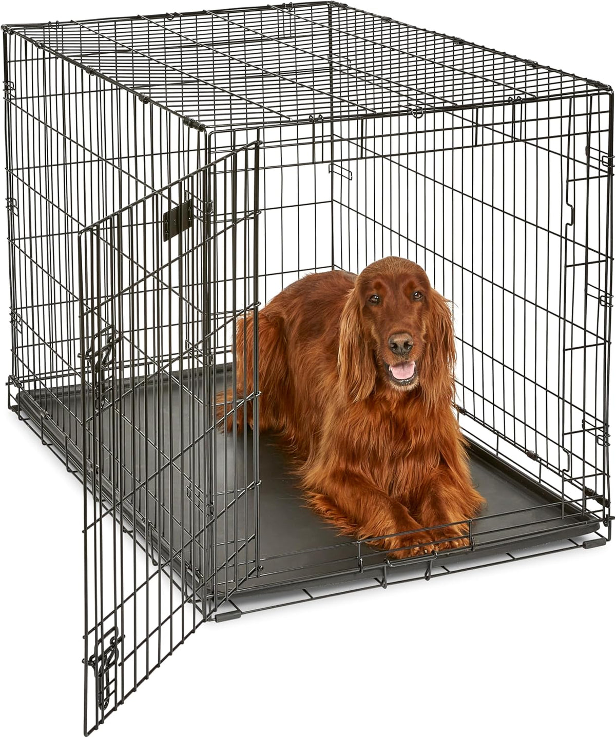 Midwest 42-Inch Single Door iCrate, for Large Breeds, 71-90 lbs