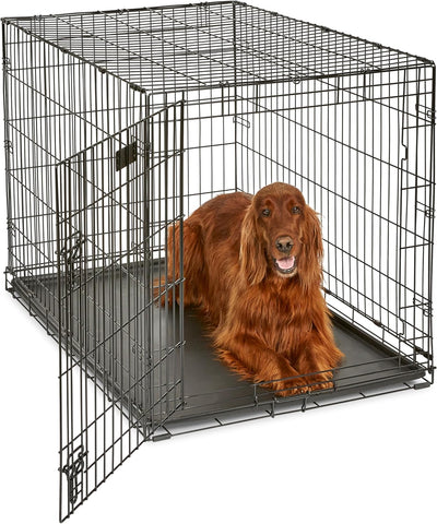 Midwest 42-Inch Single Door iCrate, for Large Breeds, 71-90 lbs
