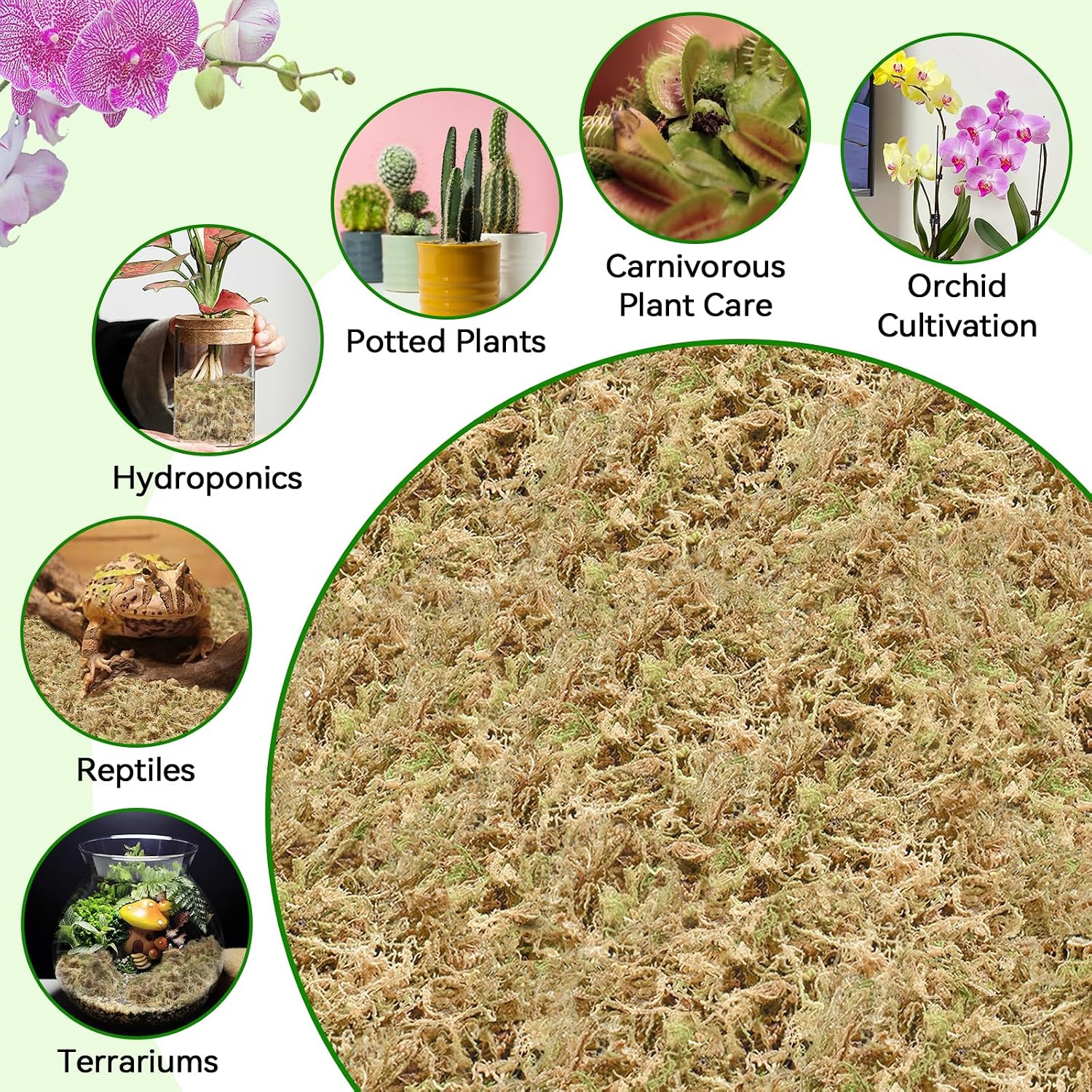 ZeeDix 6QT Natural Sphagnum Moss for Plants, Orchid Moss Potting Mix for Repotting, High Water Retention, Help with Maintain Humidity, Plant Moss for Gardening, Hanging Baskets, Reptile Bedding