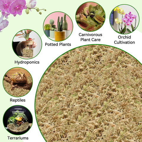 ZeeDix 6QT Natural Sphagnum Moss for Plants, Orchid Moss Potting Mix for Repotting, High Water Retention, Help with Maintain Humidity, Plant Moss for Gardening, Hanging Baskets, Reptile Bedding