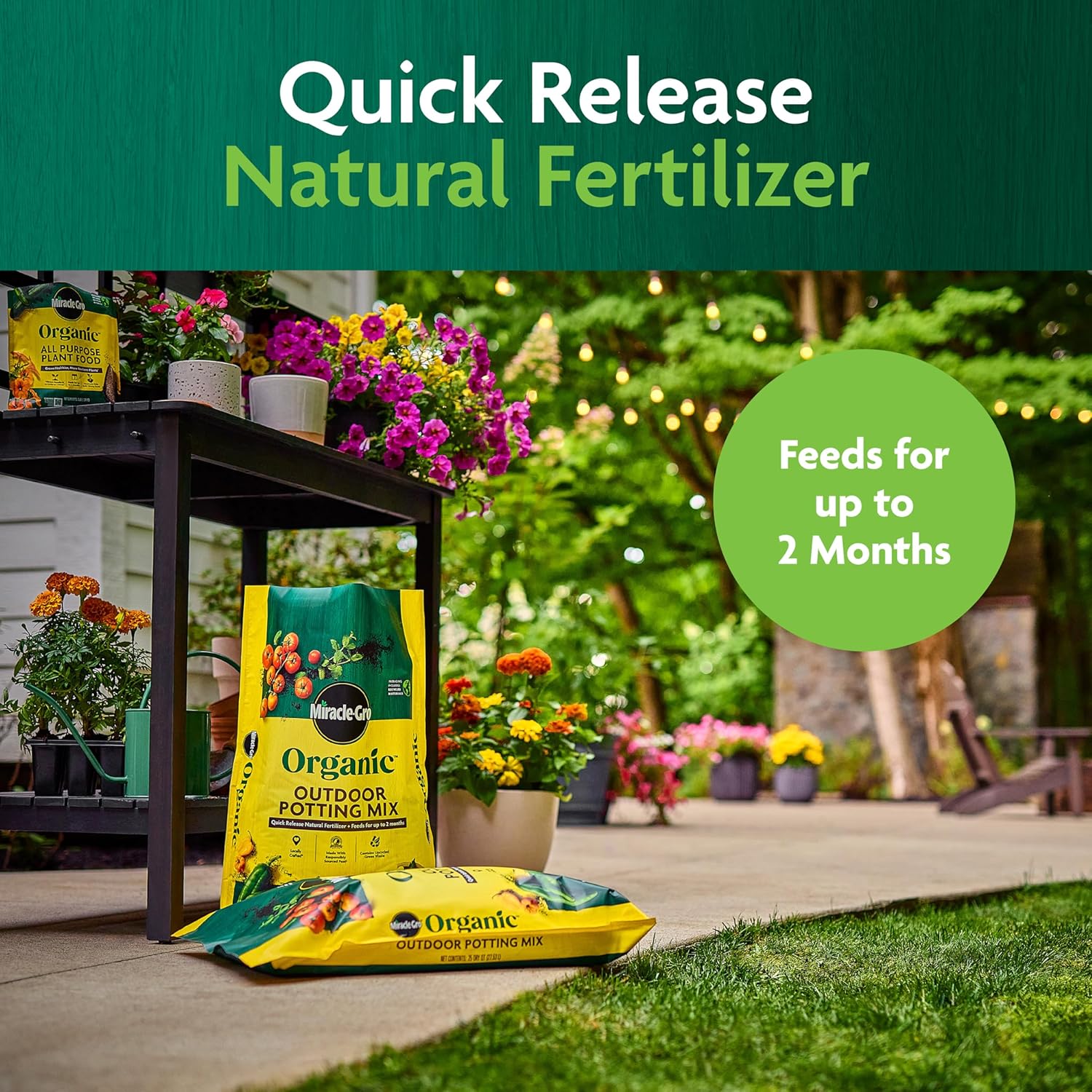 Miracle-Gro Organic Outdoor Potting Mix, 16 qt.
