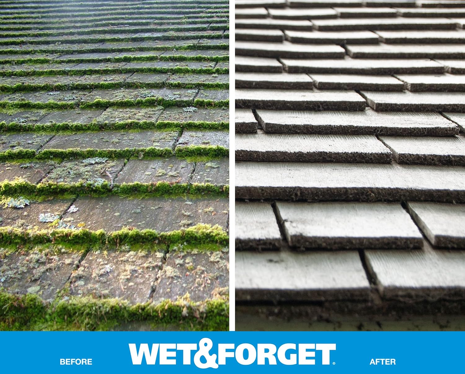 Wet & Forget Outdoor Cleaner & Stain Remover - Mold, Mildew & Algae, 128oz
