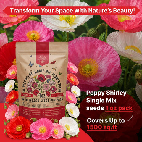Poppy Shirley Single Mix Flower Seeds 1 oz Pack - Over 195,000 Non-GMO Heirloom Papaver Rhoeas Seeds for Planting, Individual Packet for Indoor & Outdoor Gardening