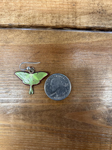d'ears Luna Moth Earrings, Non-Tarnish Sterling Silver French Hook Ear Wire, made in the U.S.A. by family run small business. Great gift for moth lovers.