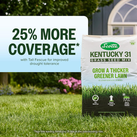 Scotts Kentucky 31 Grass Seed Mix, 20 lbs.