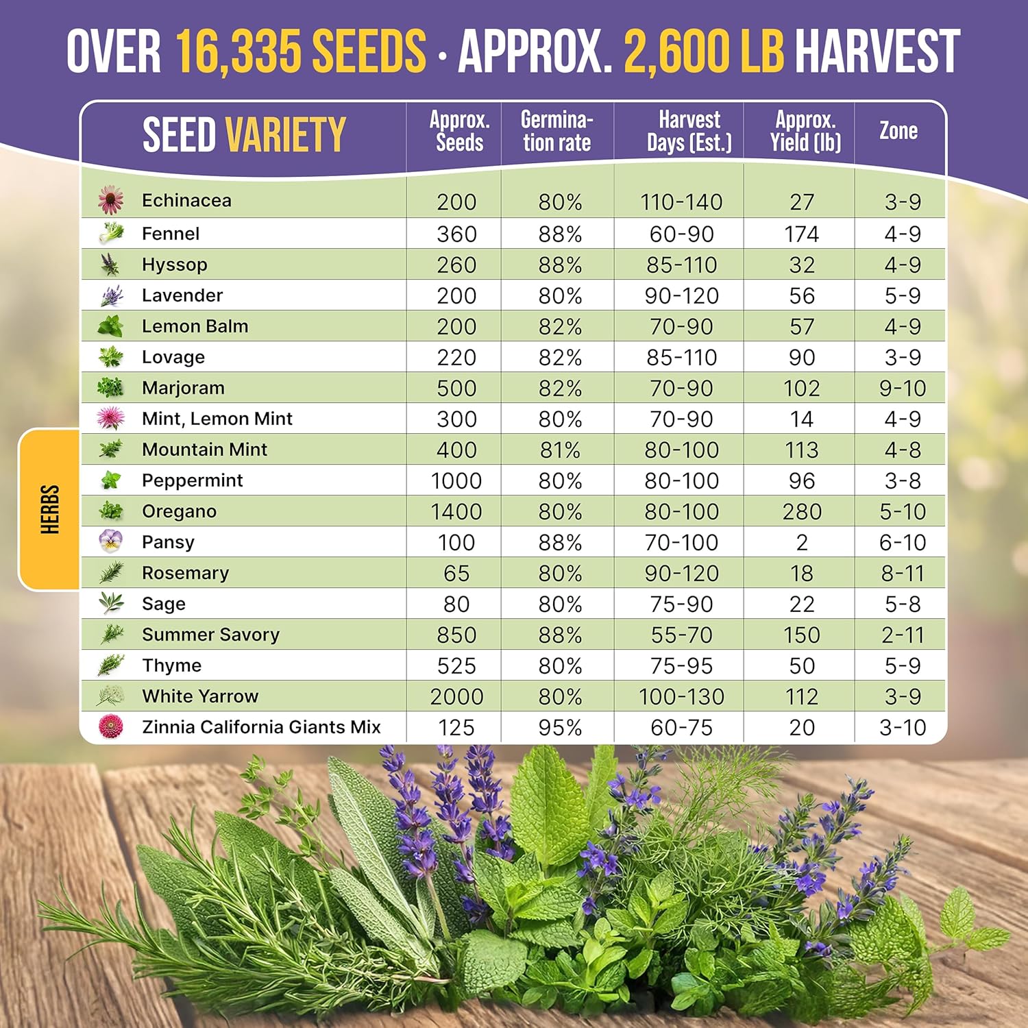 35 Medicinal & Tea Herb Seeds Variety Pack for Indoor & Outdoors. 16,335+ Non-GMO Heirloom Garden Seeds: Anise, Bergamot, Borage, Cilantro, Chamomile, Dandelion, Rosemary Seeds & More