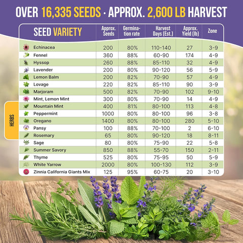 35 Medicinal & Tea Herb Seeds Variety Pack for Indoor & Outdoors. 16,335+ Non-GMO Heirloom Garden Seeds: Anise, Bergamot, Borage, Cilantro, Chamomile, Dandelion, Rosemary Seeds & More