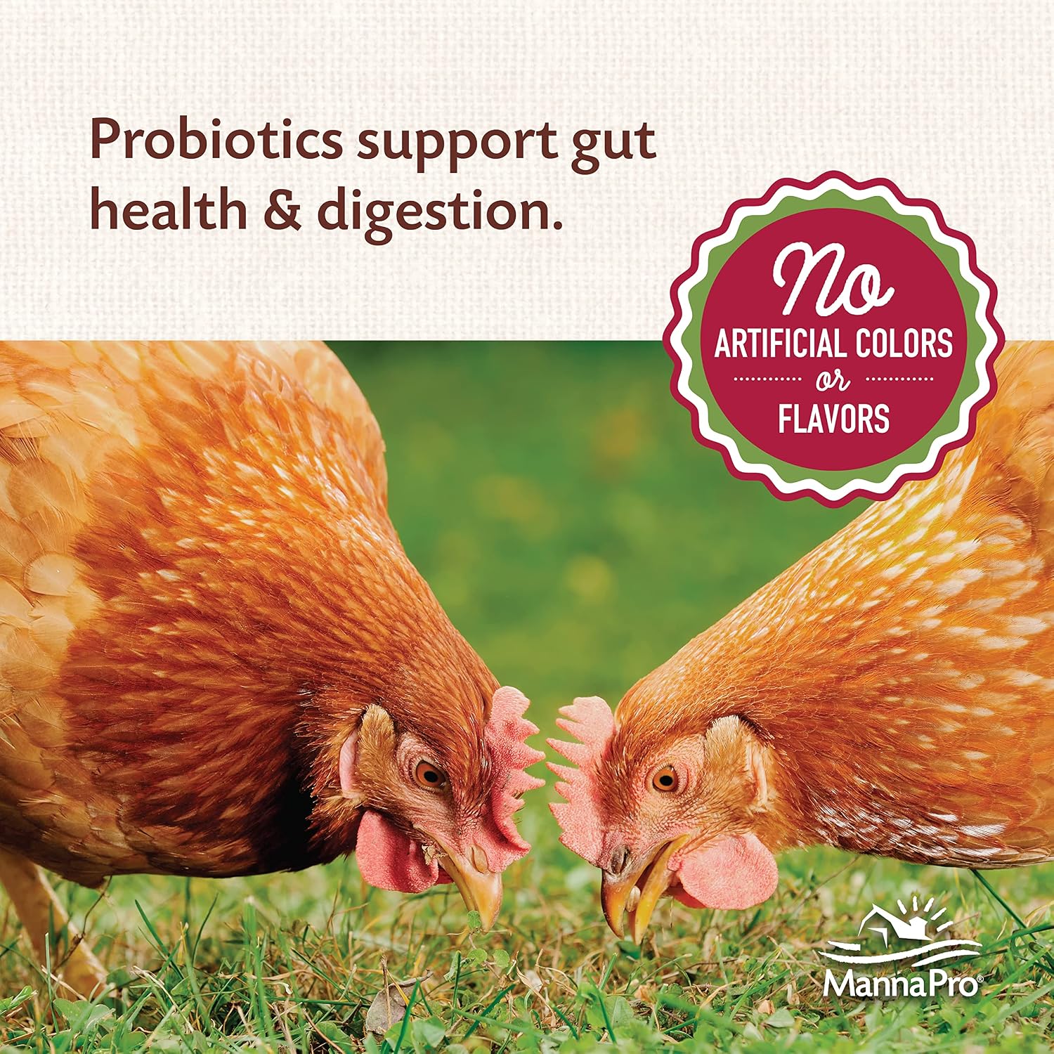 Manna Pro All Flock Crumbles with Probiotics, Chicken & Duck Food, 8 lb Bag