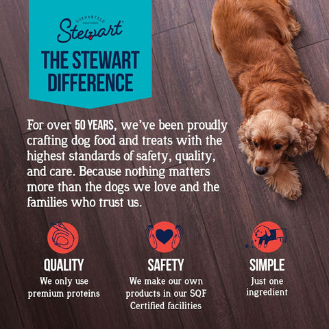 Stewart Freeze Dried Dog Treats, 100% Beef Liver, 21 oz Tub