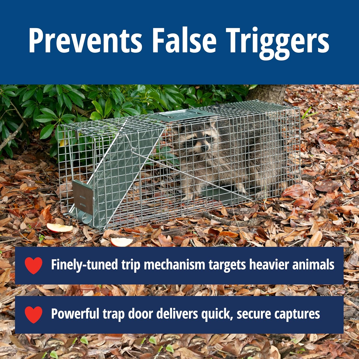 Havahart Large 1-Door Live Animal Trap for Raccoons, Cats, Bobcats, Beavers