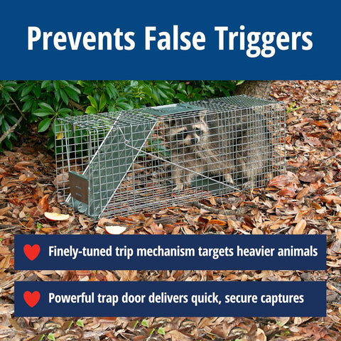 Havahart Large 1-Door Live Animal Trap for Raccoons, Cats, Bobcats, Beavers