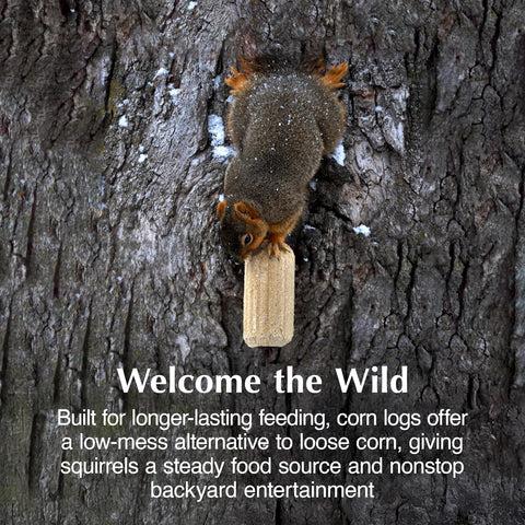 C&S Sweet Corn Squirrelog Refill, Food for Wild Squirrels, 2 Pounds