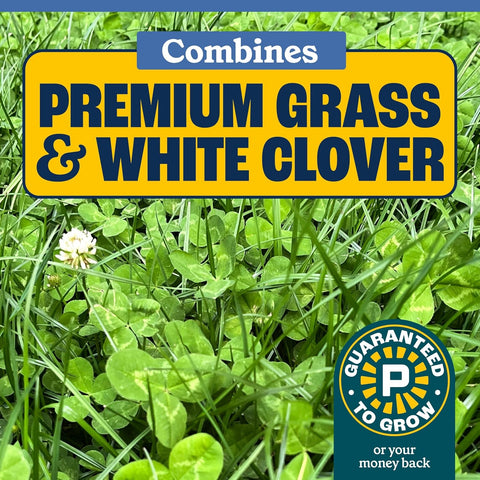Pennington Clover Grass Seed Mix for Lawn 7lb