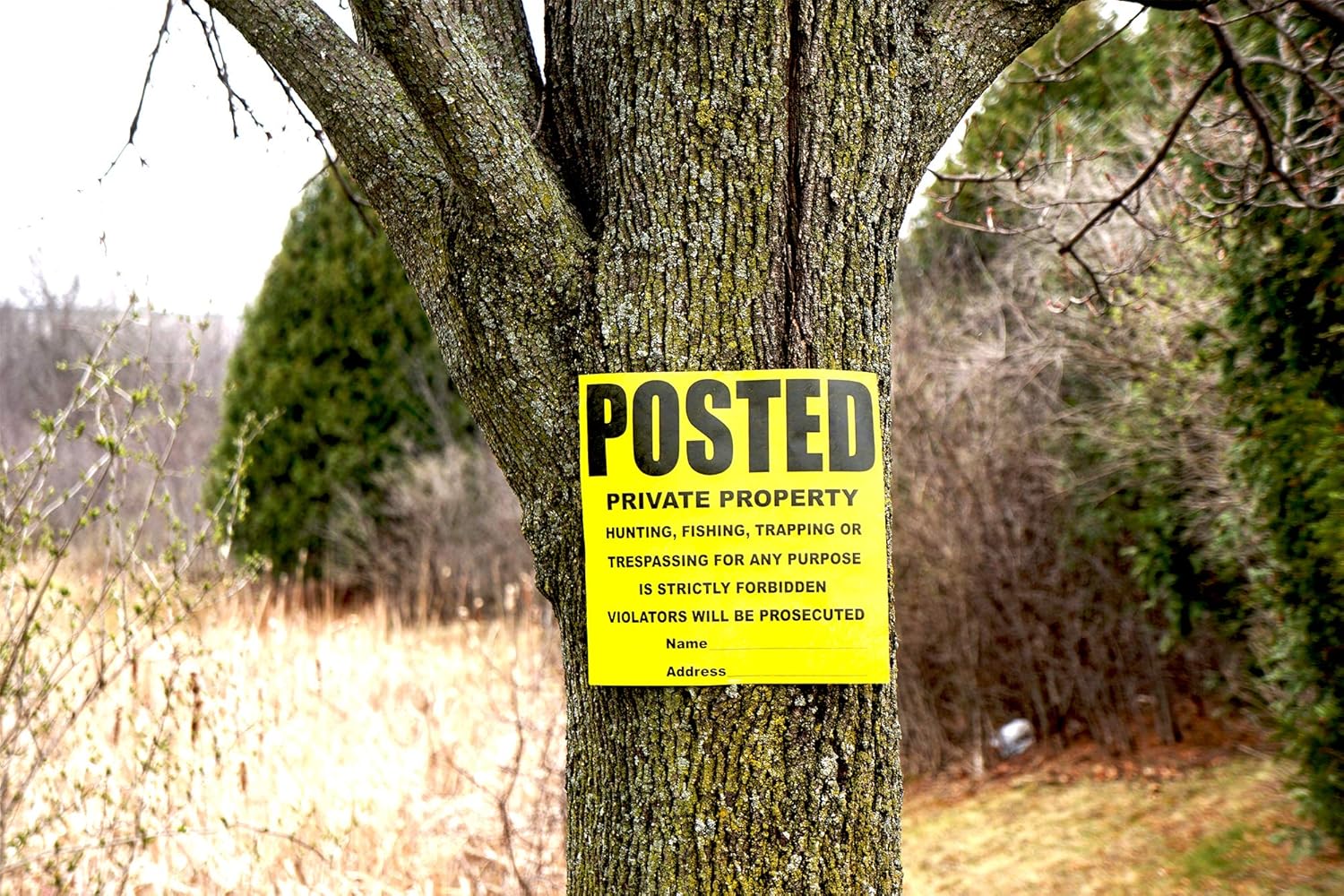 100 Per Pack Posted Yellow Private Property Sign by WristCo - 11" x 11"