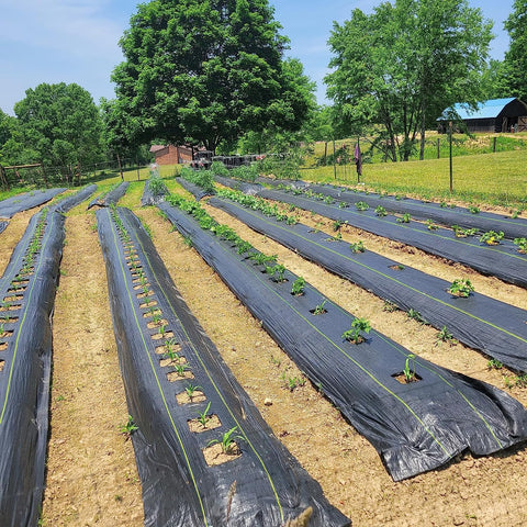 1.3ft x 50ft Durable Weed Barrier Fabric, 3.2oz Heavy-Duty Landscaping Fabric, Permeable Ground Cover for Garden, Lawn, and Outdoor Projects, Easy to Install, with 15 Staples