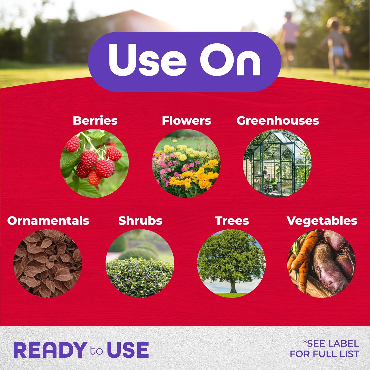 Bonide Insecticidal Soap, 32 oz Ready-to-Use Spray Multi-Purpose Insect Control for Organic Gardening Indoor and Outdoor