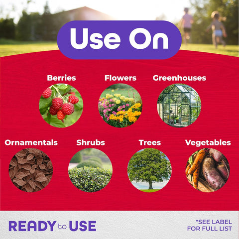 Bonide Insecticidal Soap, 32 oz Ready-to-Use Spray Multi-Purpose Insect Control for Organic Gardening Indoor and Outdoor