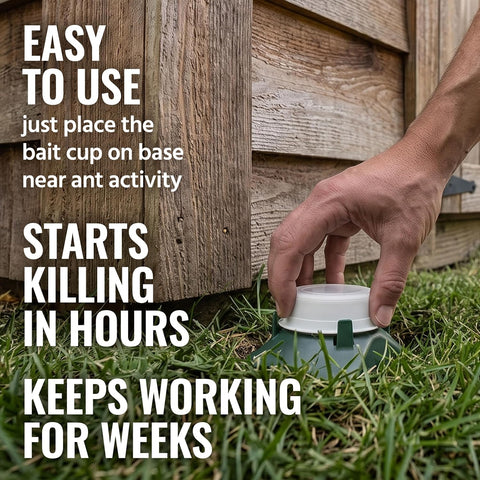 TERRO T1804-6 Outdoor Ready-to-Use Liquid Ant Bait Killer and Trap - Kills Common Household Ants - 4 Bait Stations