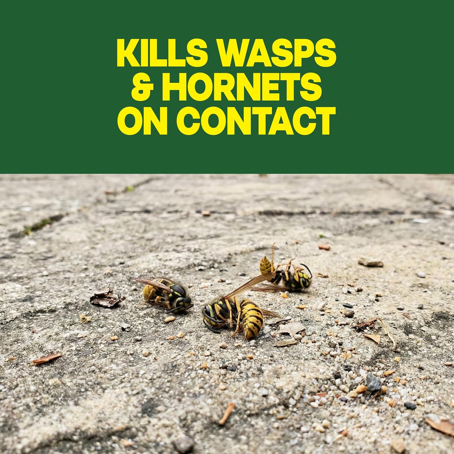 Raid Wasp & Hornet Killer Bug Spray, Kills Entire Nest, 14 oz, 2 Count