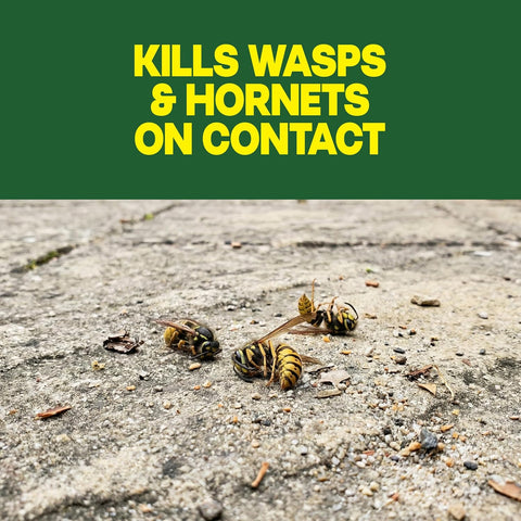 Raid Wasp & Hornet Killer Bug Spray, Kills Entire Nest, 14 oz, 2 Count