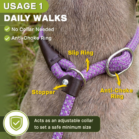 Fida Durable Slip Lead Dog Leash, 6 FT x 1/2" Dog Training Leash, Purple