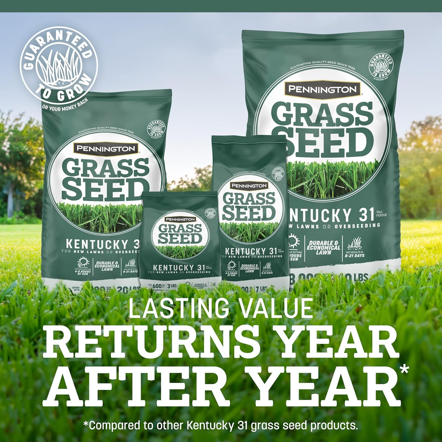 Pennington Kentucky 31 Fescue 40 LB Tall Fescue Grass Seed, Grass Seeds for Lawn