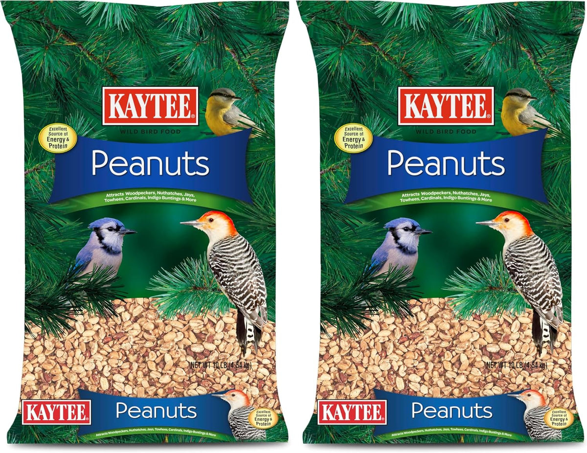 Kaytee Shelled Peanuts for Woodpeckers, Nuthatches, Jays, Towhees, Cardinals, Indigo Buntings & Other Wild Birds, 10 Pound (Pack of 2)