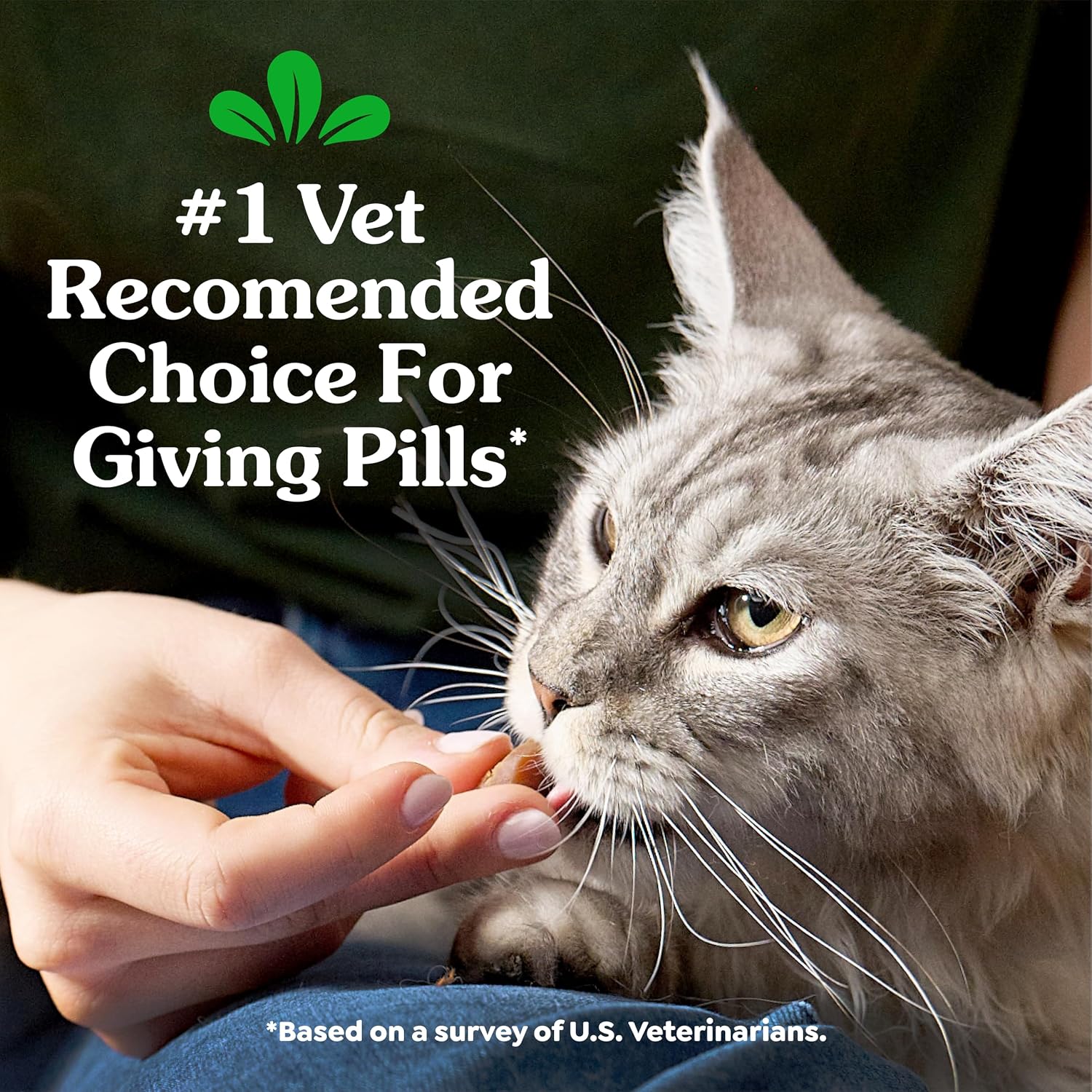 Greenies Feline Pill Pockets Soft Cat Treats, Chicken Flavor, 85 Count