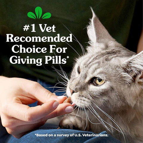 Greenies Feline Pill Pockets Soft Cat Treats, Chicken Flavor, 85 Count