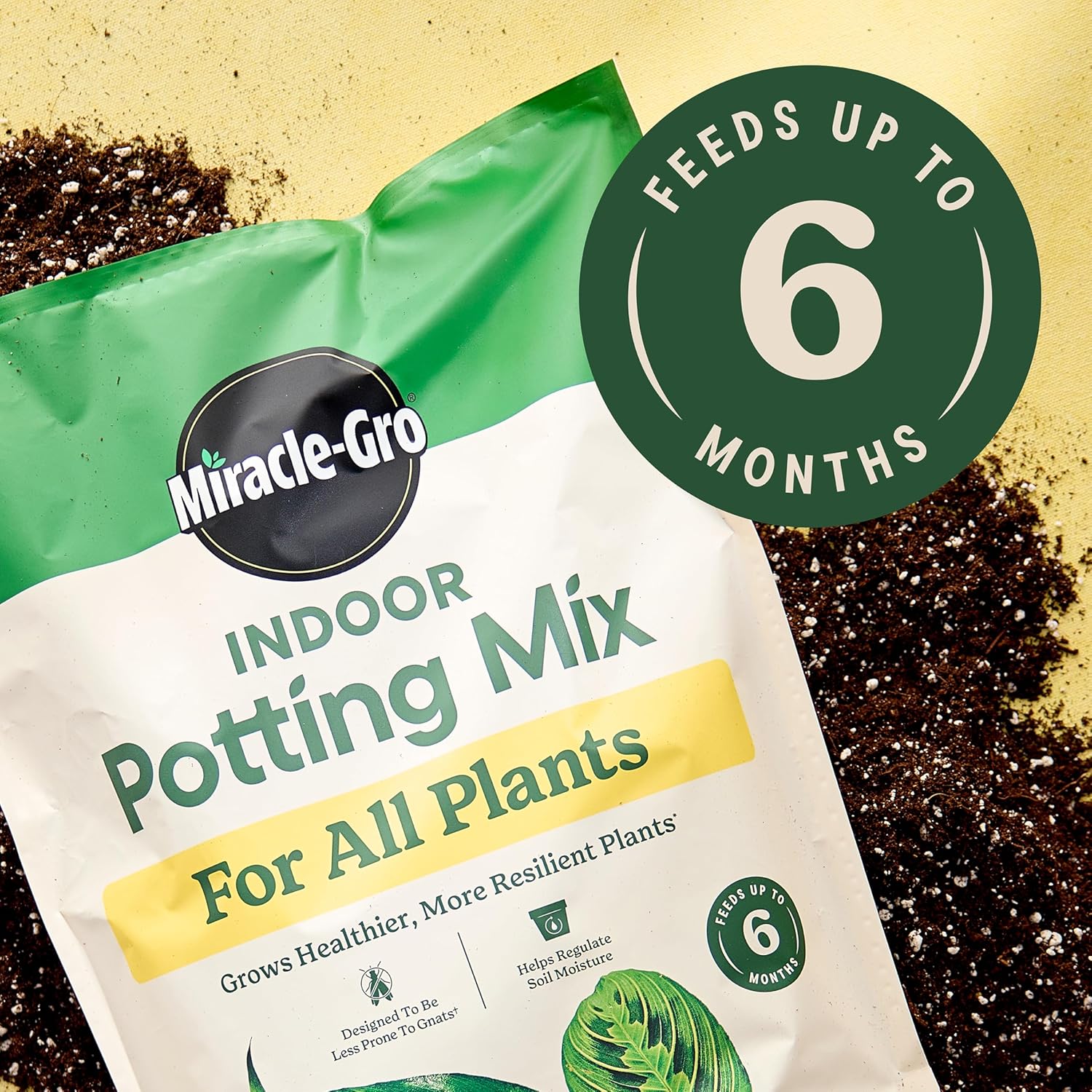 Miracle-Gro Indoor Potting Mix for All Plants, 6 qt., 2-Pack