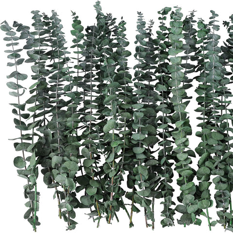 20 Pcs Dried Eucalyptus Stems 17" Real Eucalyptus for Shower Hanging