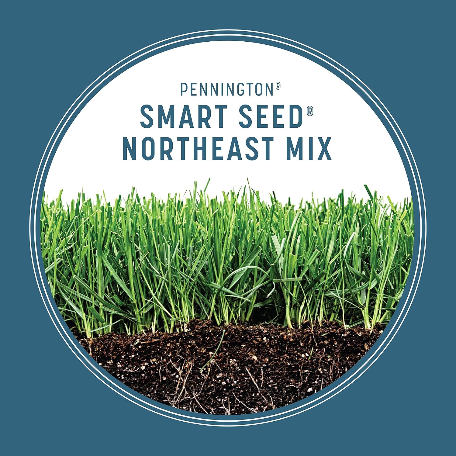 Pennington Smart Seed Northeast Mix 7lb, Grass Seeds for Lawn