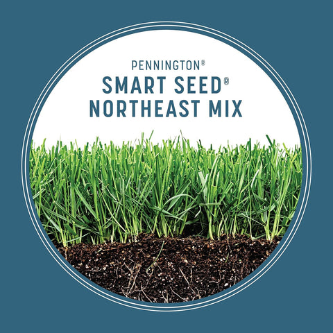 Pennington Smart Seed Northeast Mix 7lb, Grass Seeds for Lawn