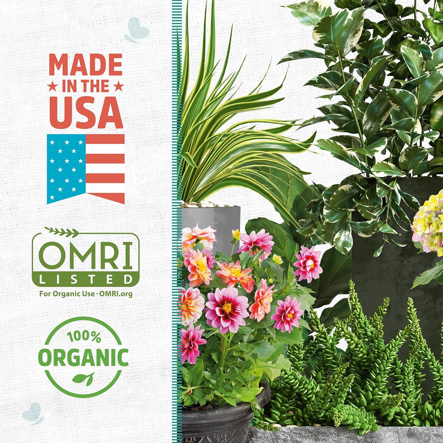 Back to the Roots 100% Organic Perlite | Made in the USA | Premium Nutrition for Indoor and Outdoor Plants