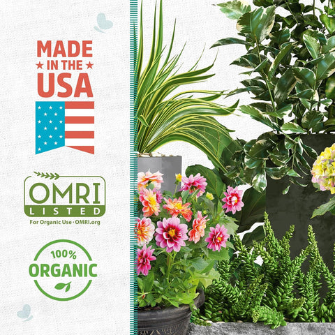 Back to the Roots 100% Organic Perlite | Made in the USA | Premium Nutrition for Indoor and Outdoor Plants