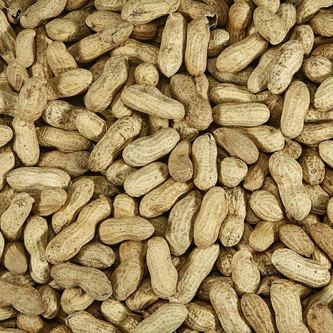 Kaytee Whole Peanuts in Shell for Cardinals, Blue Jays, Woodpeckers and Other Outside Wild Birds, Two 5 Pound Bags