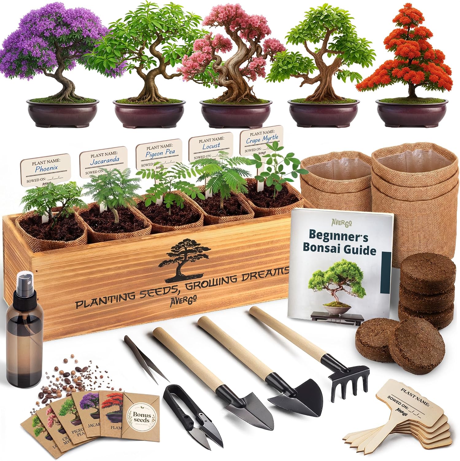 Bonsai Tree Kit Deluxe - Growing 5 Unique Japanese Bonzai Trees