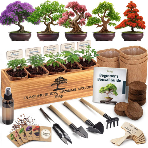 Bonsai Tree Kit Deluxe - Growing 5 Unique Japanese Bonzai Trees