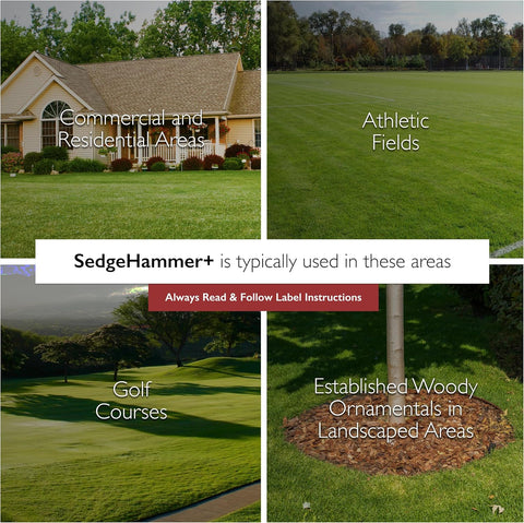 Sedgehammer Plus Turf Solution, 13.5 Grams, Nutsedge Control