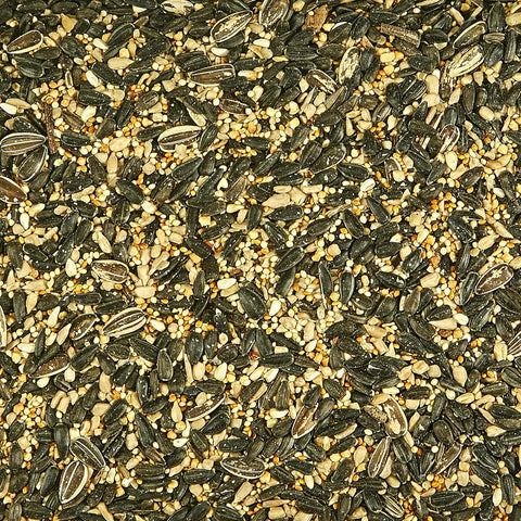 Kaytee Northeast Regional Wild Bird Blend, 7-Pound Bag
