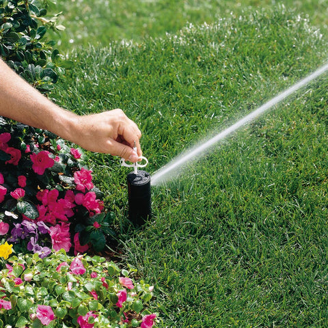 Hunter PGP-adj Rotor Sprinkler Heads - 6 Pack - Includes Nozzle Trees and Adjustment Tool