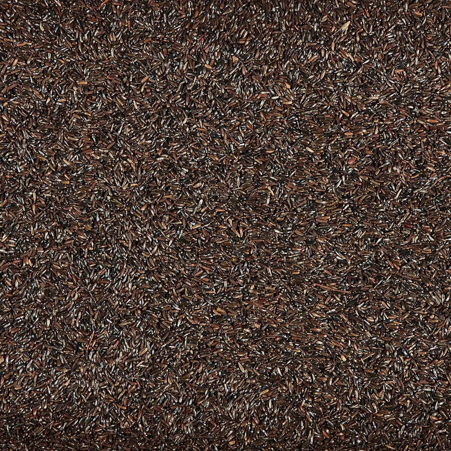 Kaytee Nyjer Seed for Finches & Other Wild Birds, 8 Pounds