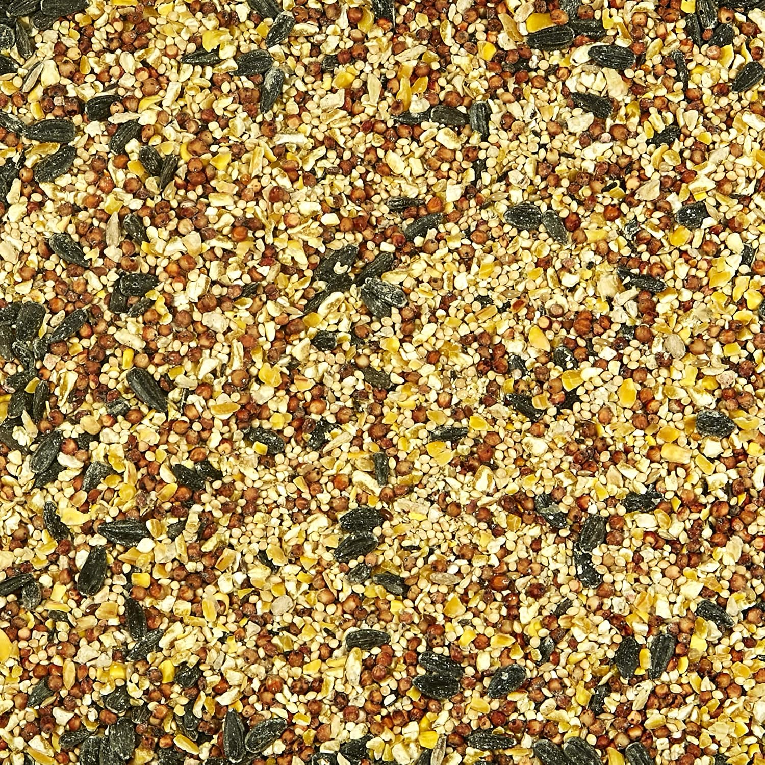 Kaytee All American Wild Bird Food Seed Blend for Cardinals, Blue Jays, Finches & Other Outdoor Wild Birds, 5 Pounds