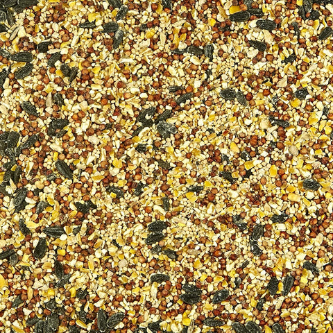 Kaytee All American Wild Bird Food Seed Blend for Cardinals, Blue Jays, Finches & Other Outdoor Wild Birds, 5 Pounds