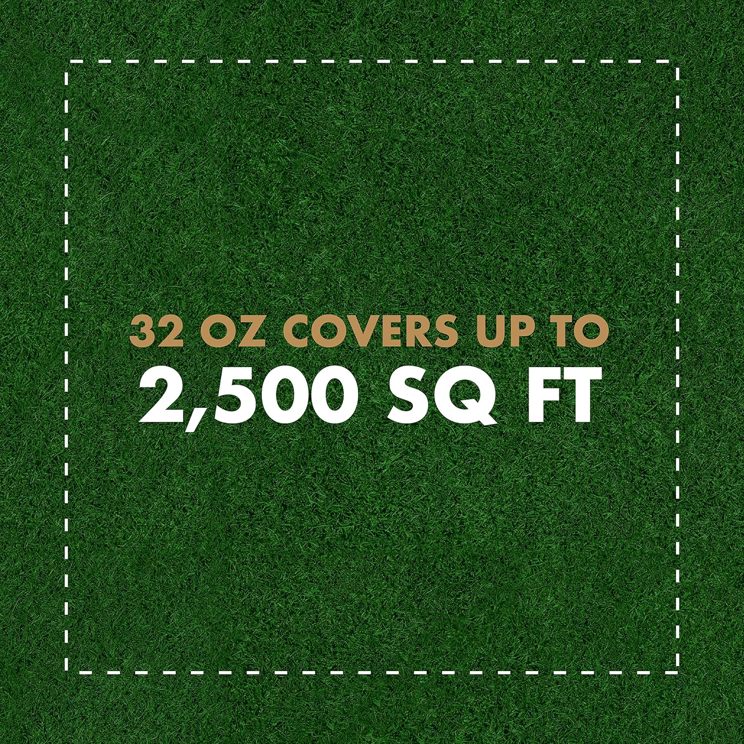 Spectracide Immunox Fungus Plus Insect Control for Lawns, 32 oz