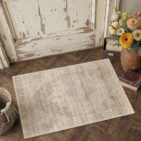 2x3 Beige Farmhouse Area Rug