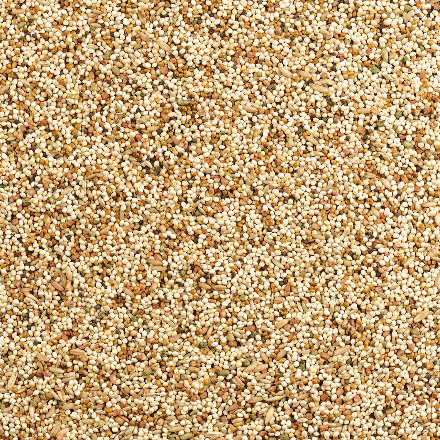 Wild Harvest Daily Blend Bird Food For Parakeet, Canary & Finch,10 lbs