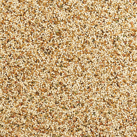 Wild Harvest Daily Blend Bird Food For Parakeet, Canary & Finch,10 lbs
