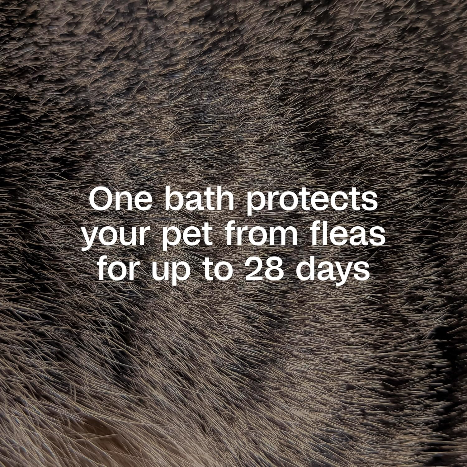ADAMS Plus Flea & Tick Shampoo with Precor for Dogs & Cats, 12 oz